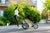 Jogging Stroller lady running in the city